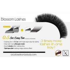 0.10 D Easy fan flower - Blossom eyelash extensions