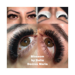 0.12 D Easy fan flower - Blossom eyelash extensions