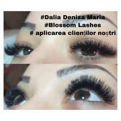 0.07 C Easy fan flower - Blossom Extension ciglia volume
