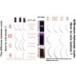 0.10 C - Eyelash extension Yassine Premium