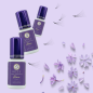 BUZZ Dora, Eyelash extenssion adhesive 0.5-1 sec, 5ml BUZZ Dora, Eyelash extenssion adhesive 0.5-1 sec, 5ml