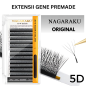 5D W, curbura C, Nagaraku Extensii gene gata facute 5D W, curbura C, Nagaraku Extensii gene gata facute
