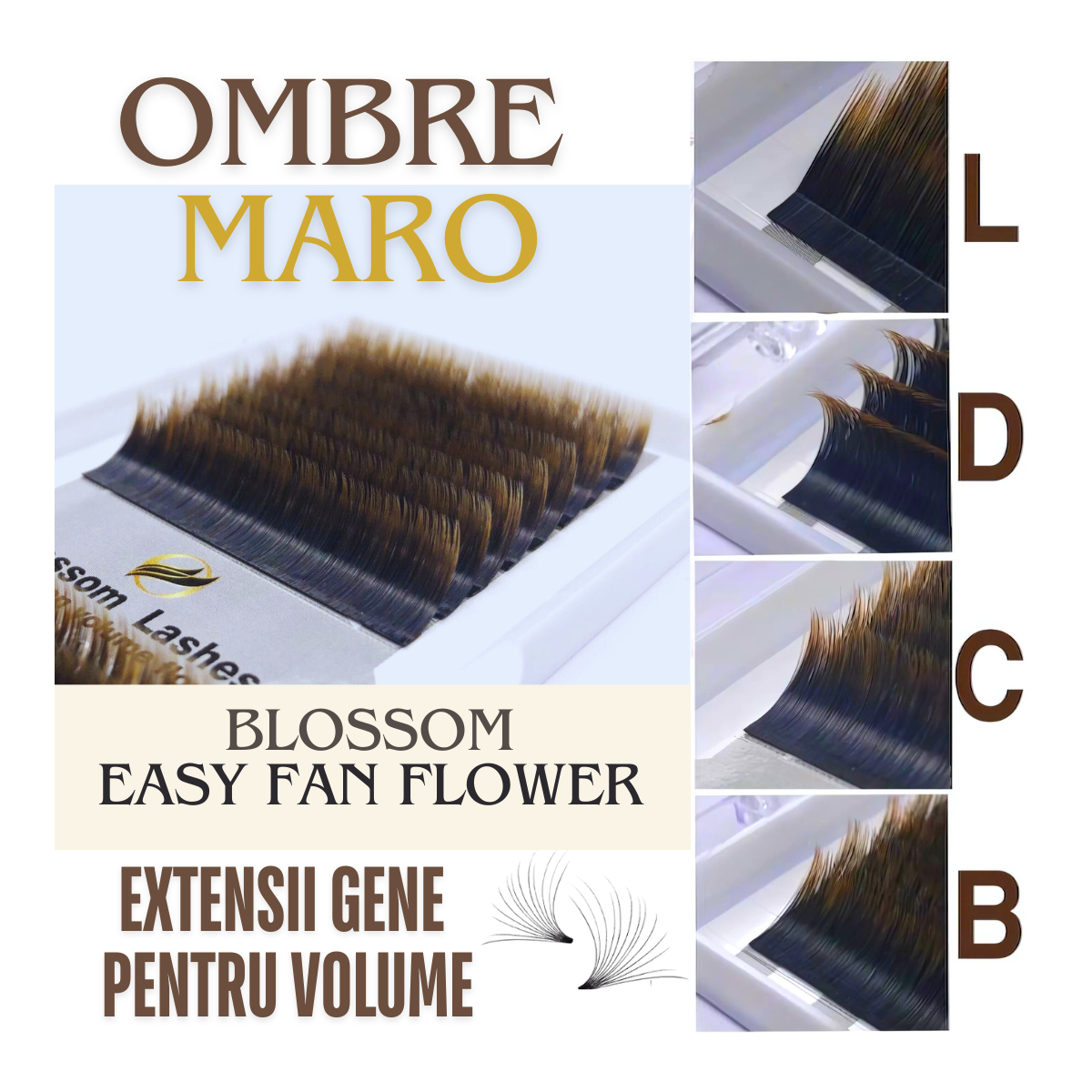Ombre Brown easy volum BLOSSOM FAN FLOWER LASHES, false eyelash extenssion