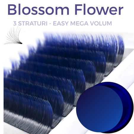 Ombre Blue, Blossom easy fan, various curls