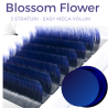 Ombre Blue, Blossom easy fan, various curls