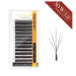 5D W 3.0 Wheat shape Nagaraku, curl D