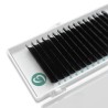 NEW BUZZ 0.10 L curl Mix 6-15mm, false eyelash extenssion one to one