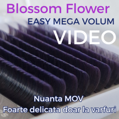 Ombre MOV - Blossom pentru evantaile instante, easy Fan flower 0.07 unite la baza