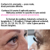 3D W 0.10 LU Extensii gene Premade